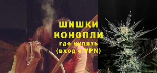шишки Пролетарск