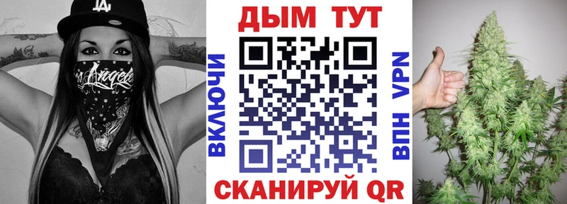 где продают наркотики  Сунжа  OMG зеркало  Конопля планчик 